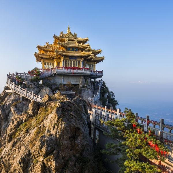 森林山庄