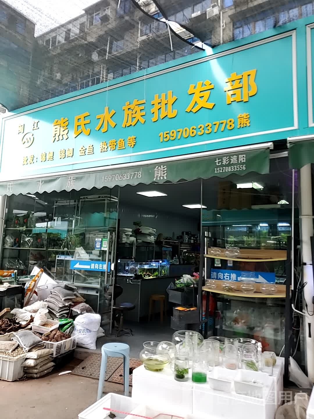 熊氏水族
