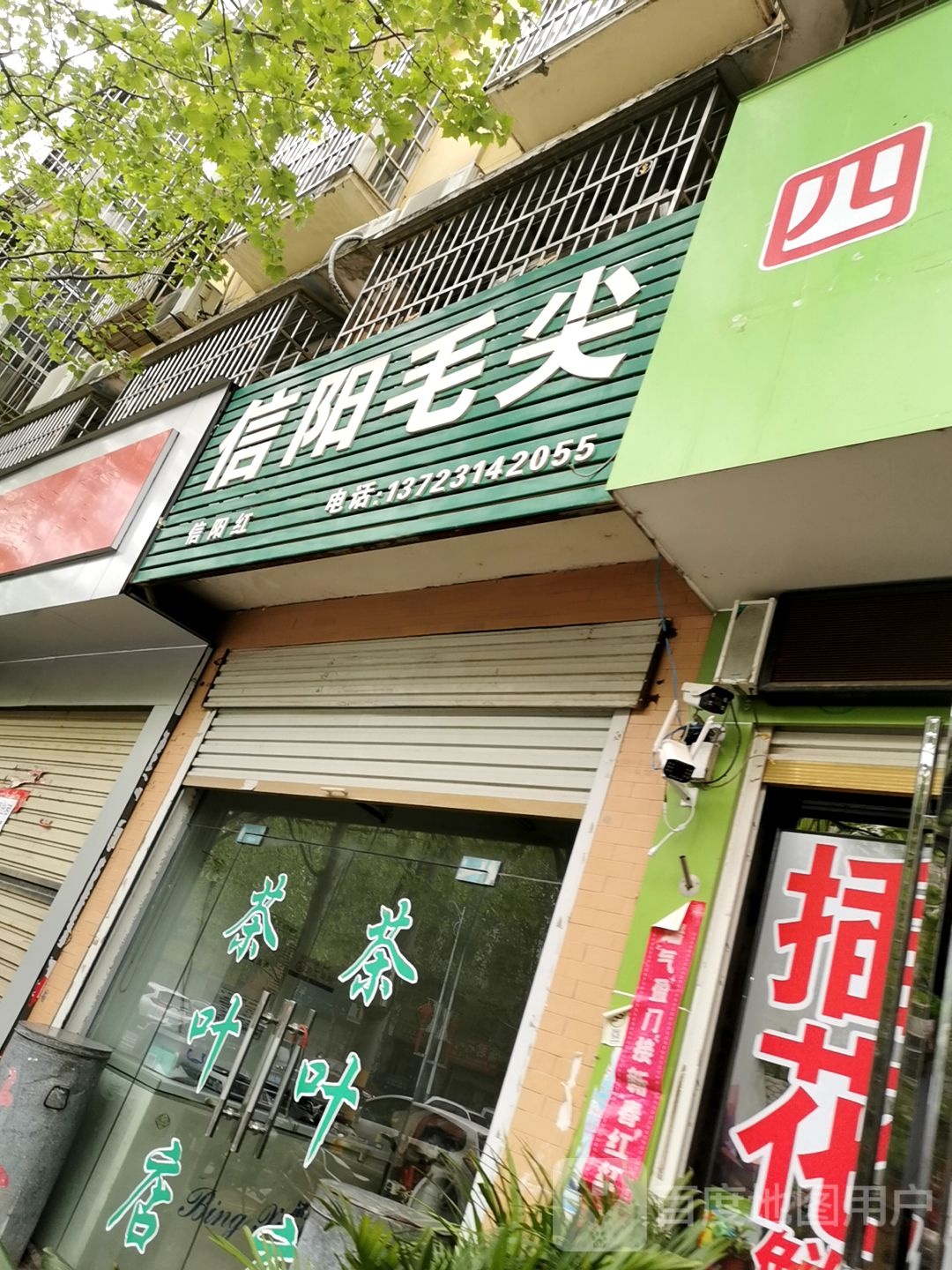 息县信阳毛尖(南大街店)