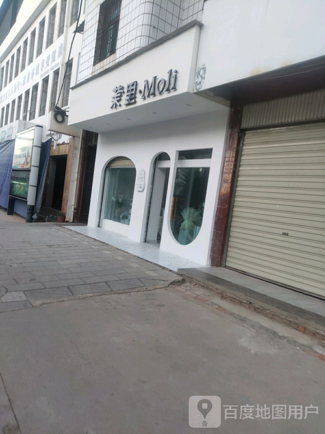茉里(鲜花花艺馆鲜花店)