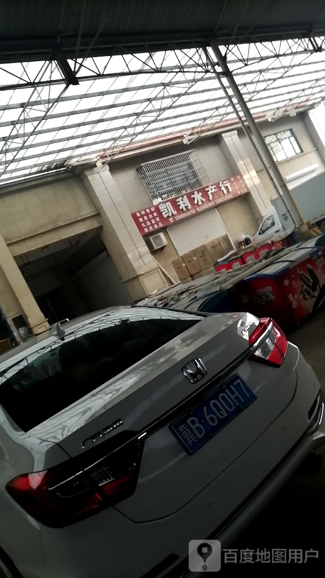 凯利水产行(东汇生活广场店)