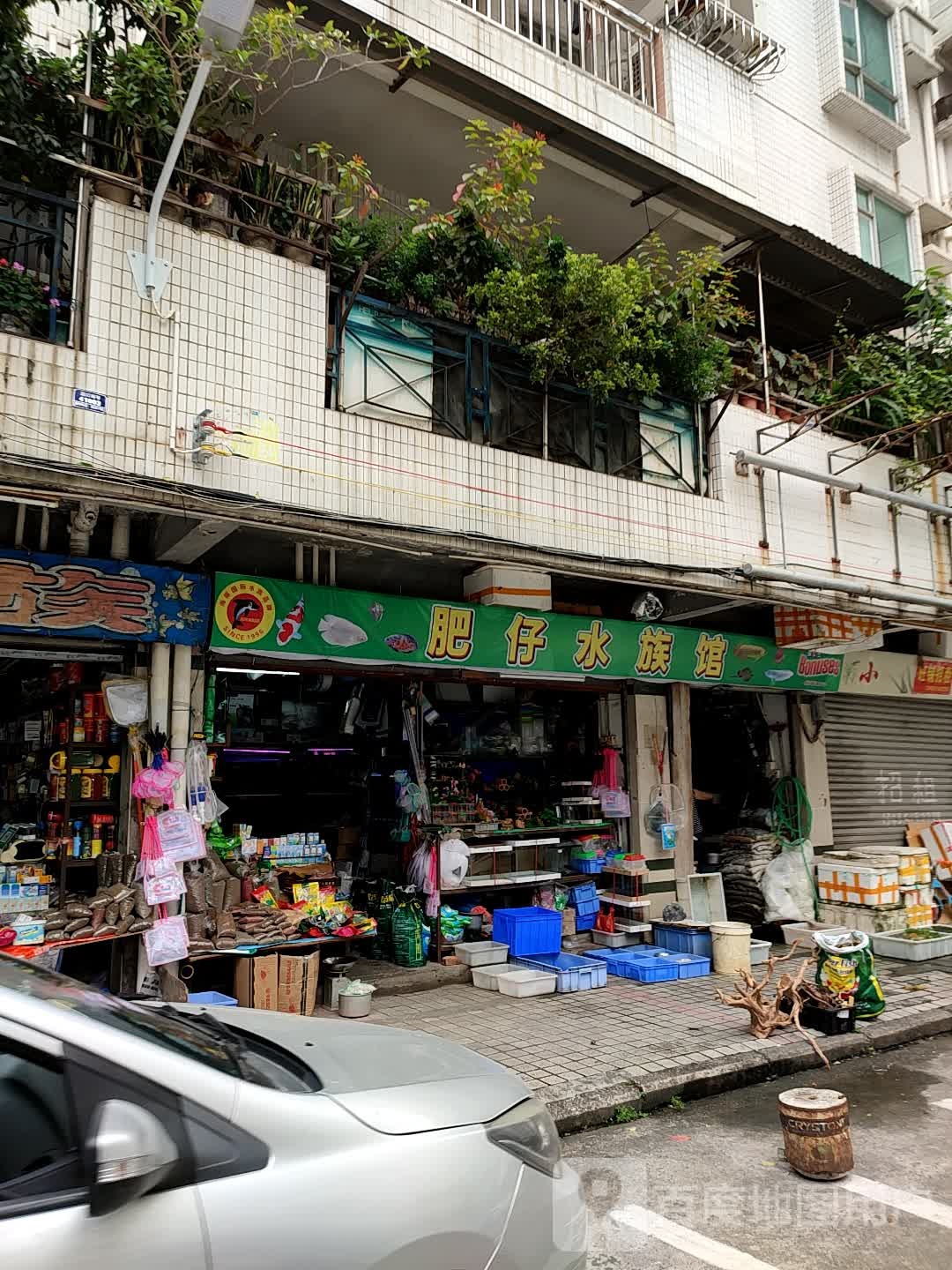 肥仔水族馆