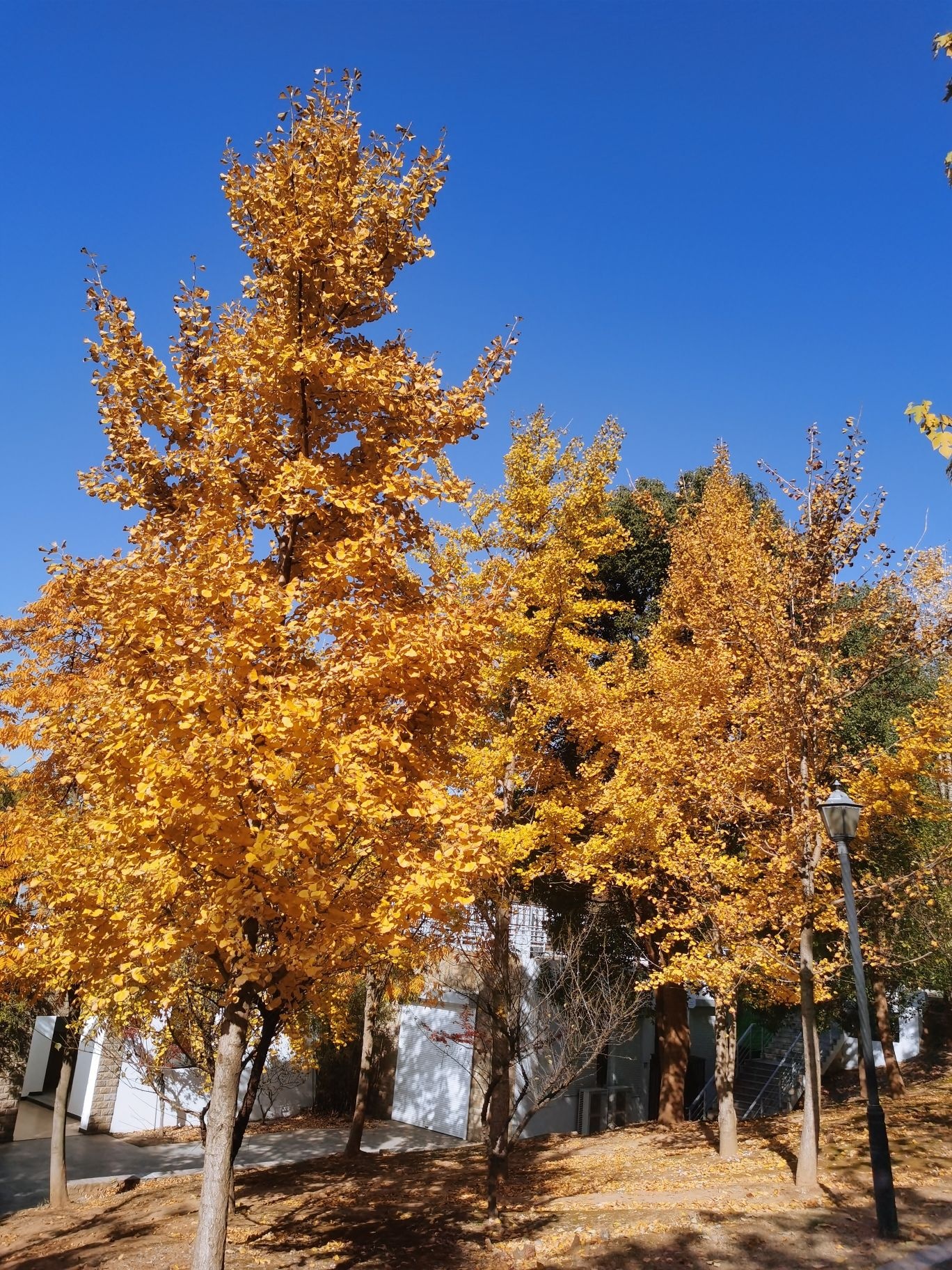 镇江南山风景名胜区