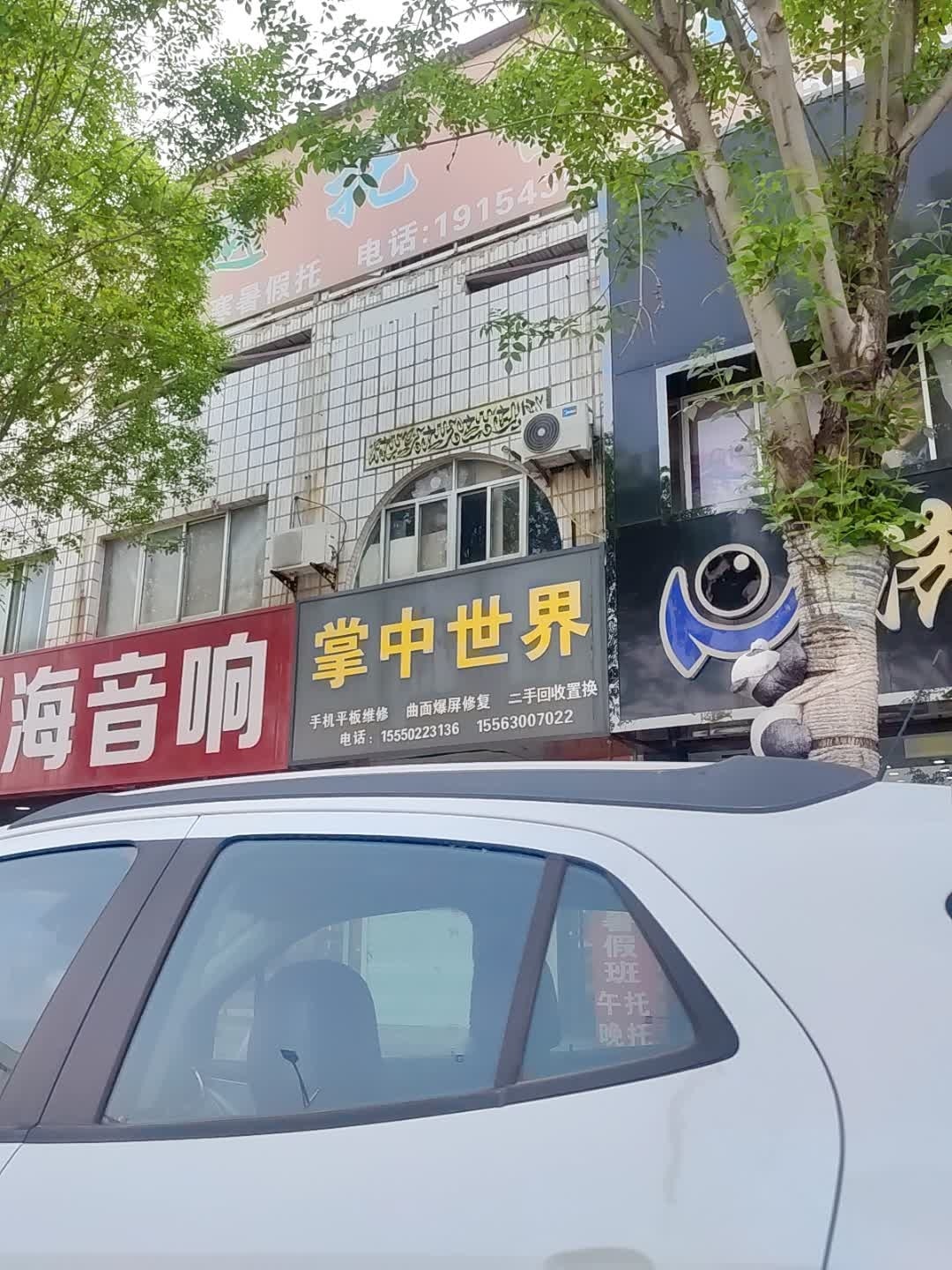 掌中世界
