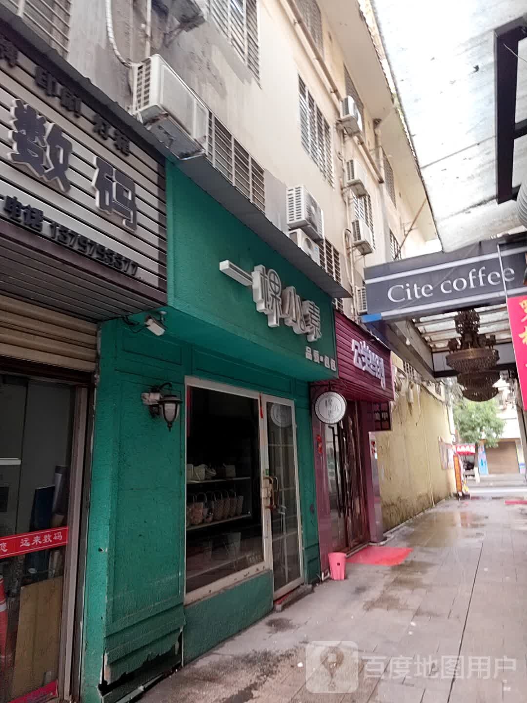 一棵小素