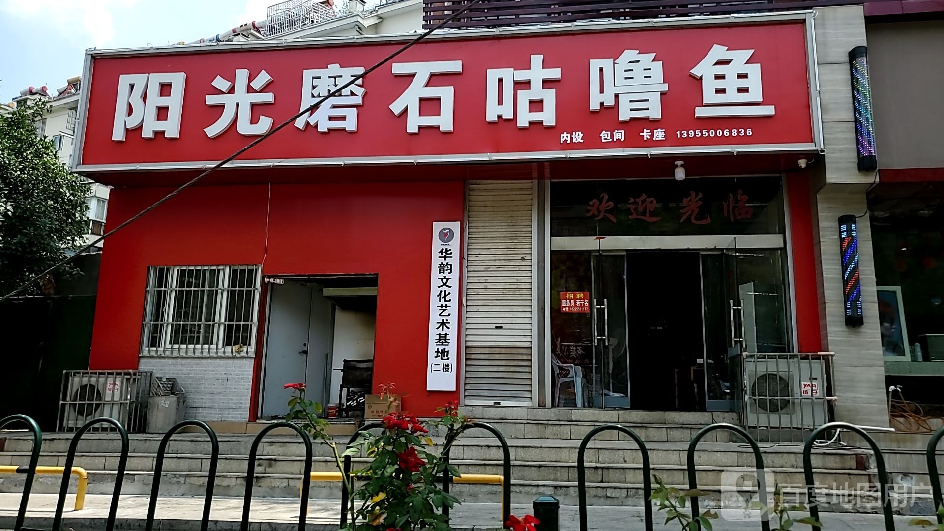 阳光魔石咕噜鱼(凤凰西路店)