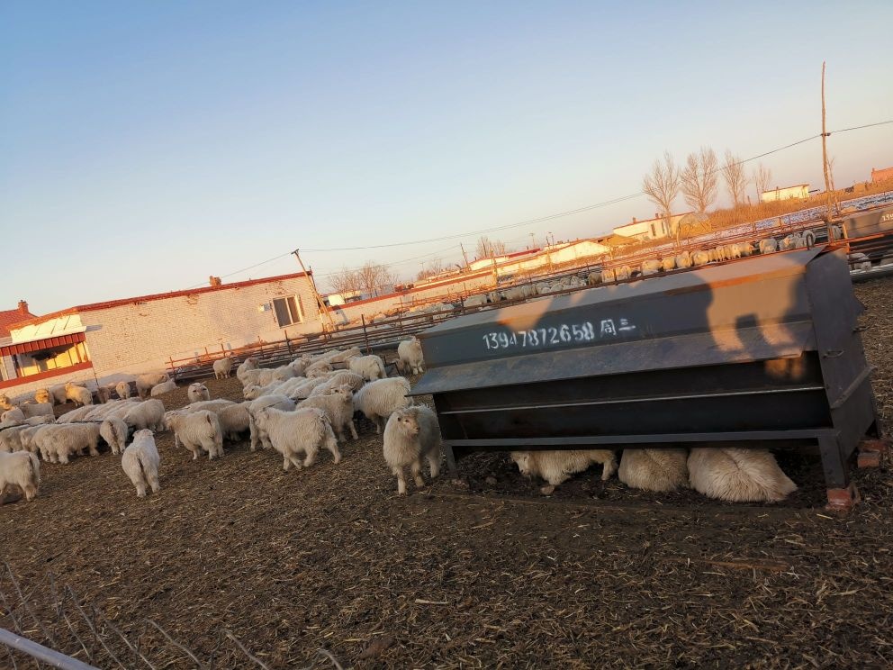 新安镇人民政府