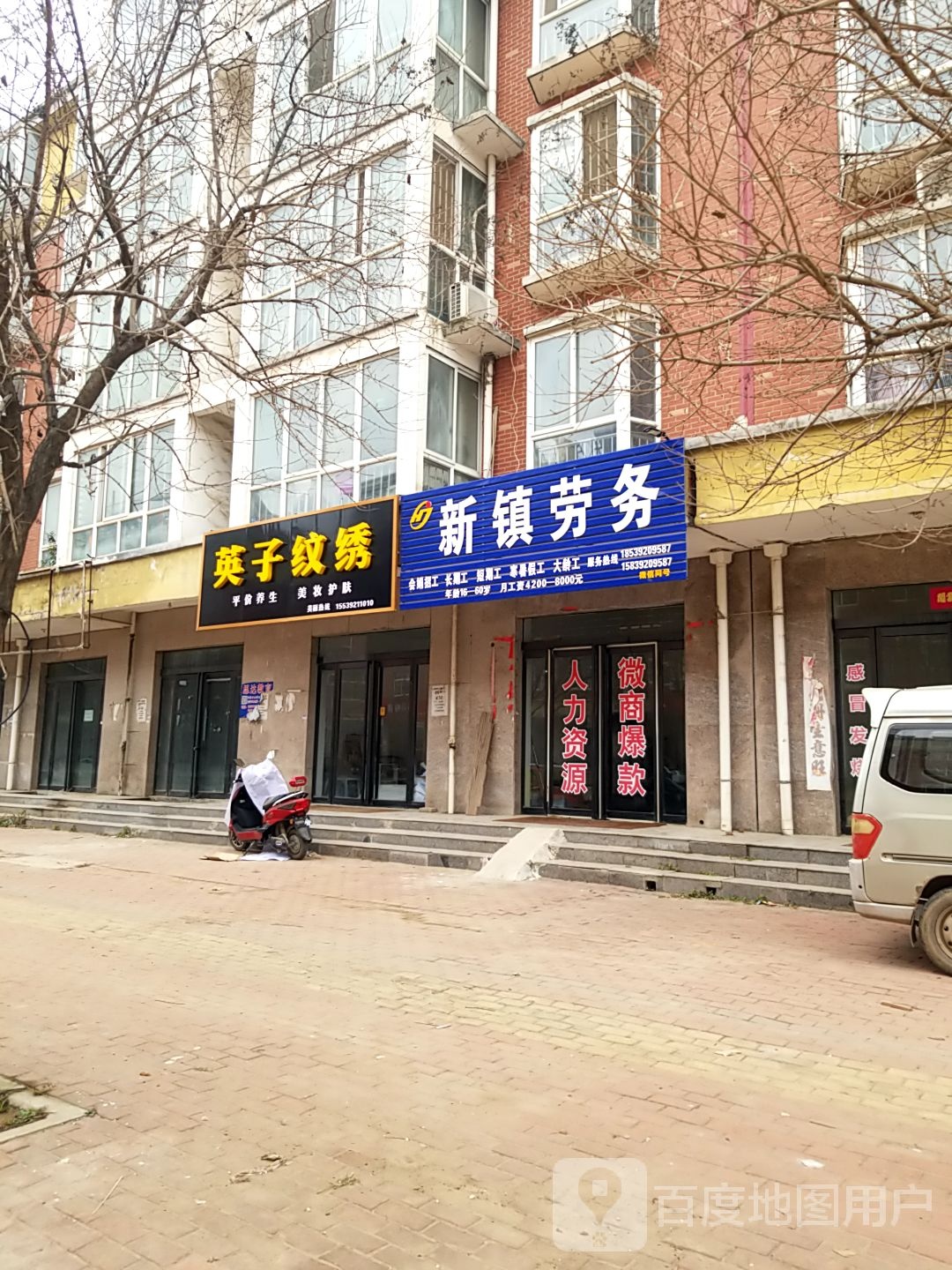英子纹锈