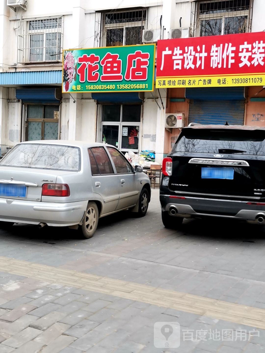 缘芬花鱼店