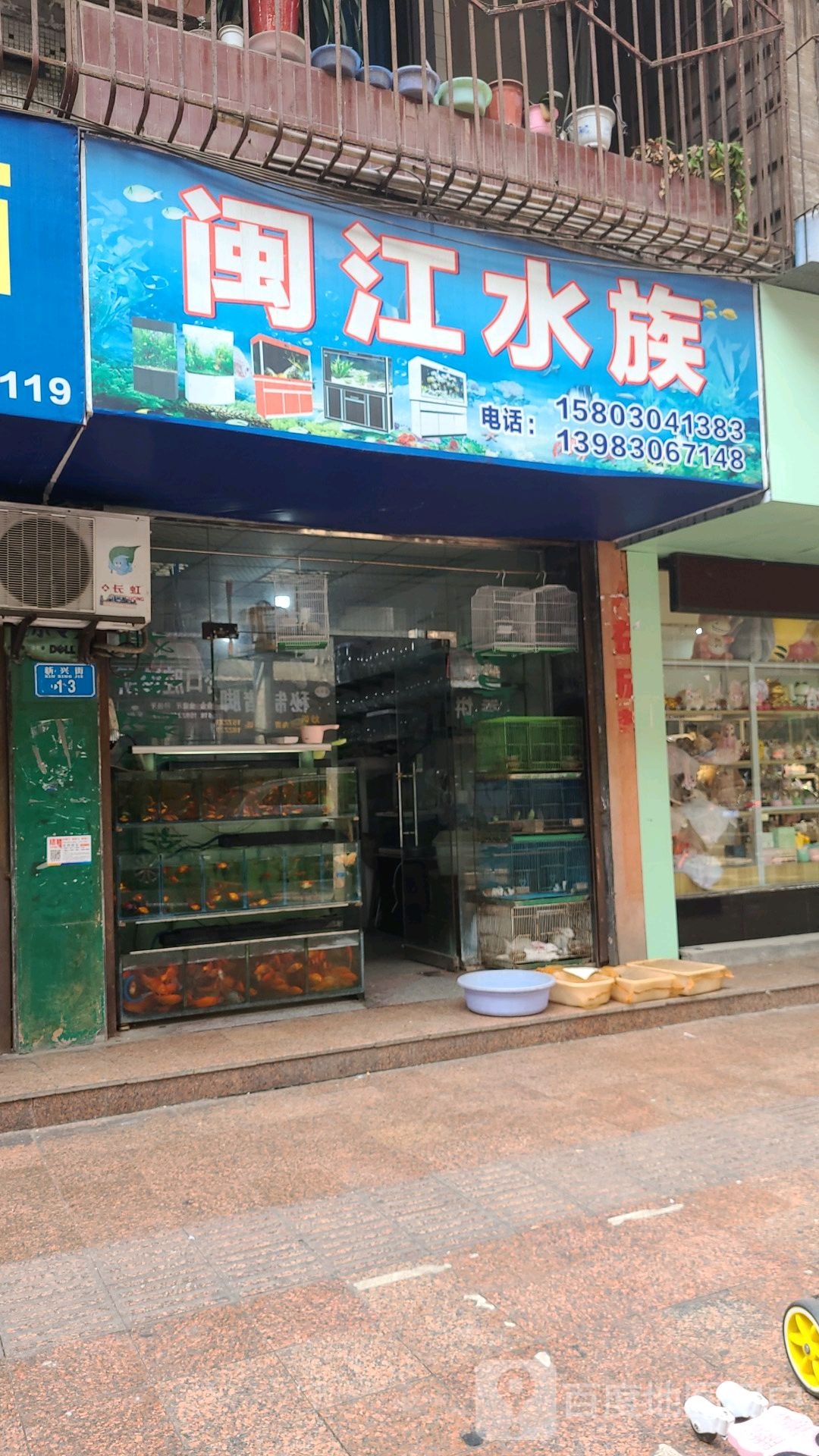 闽海水族
