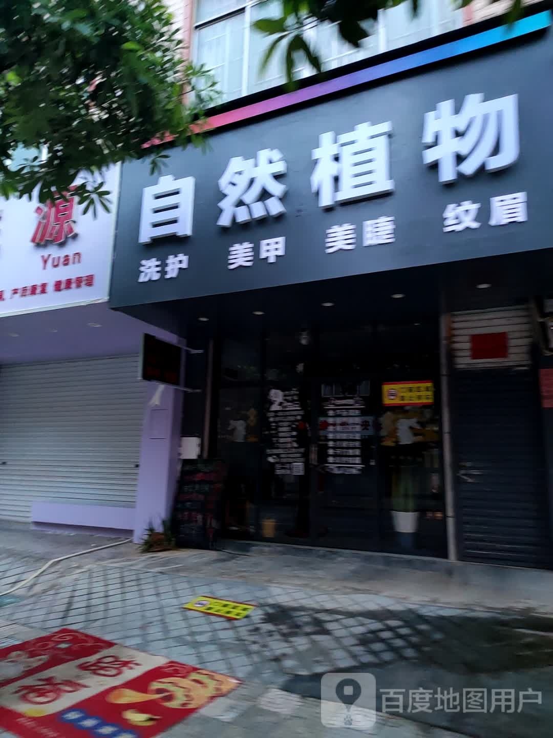 自然植物洗护美容