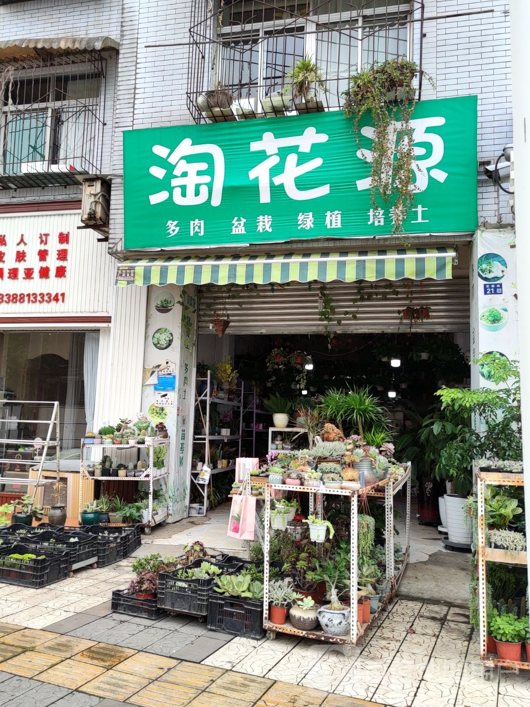 淘花源(安顺路店)