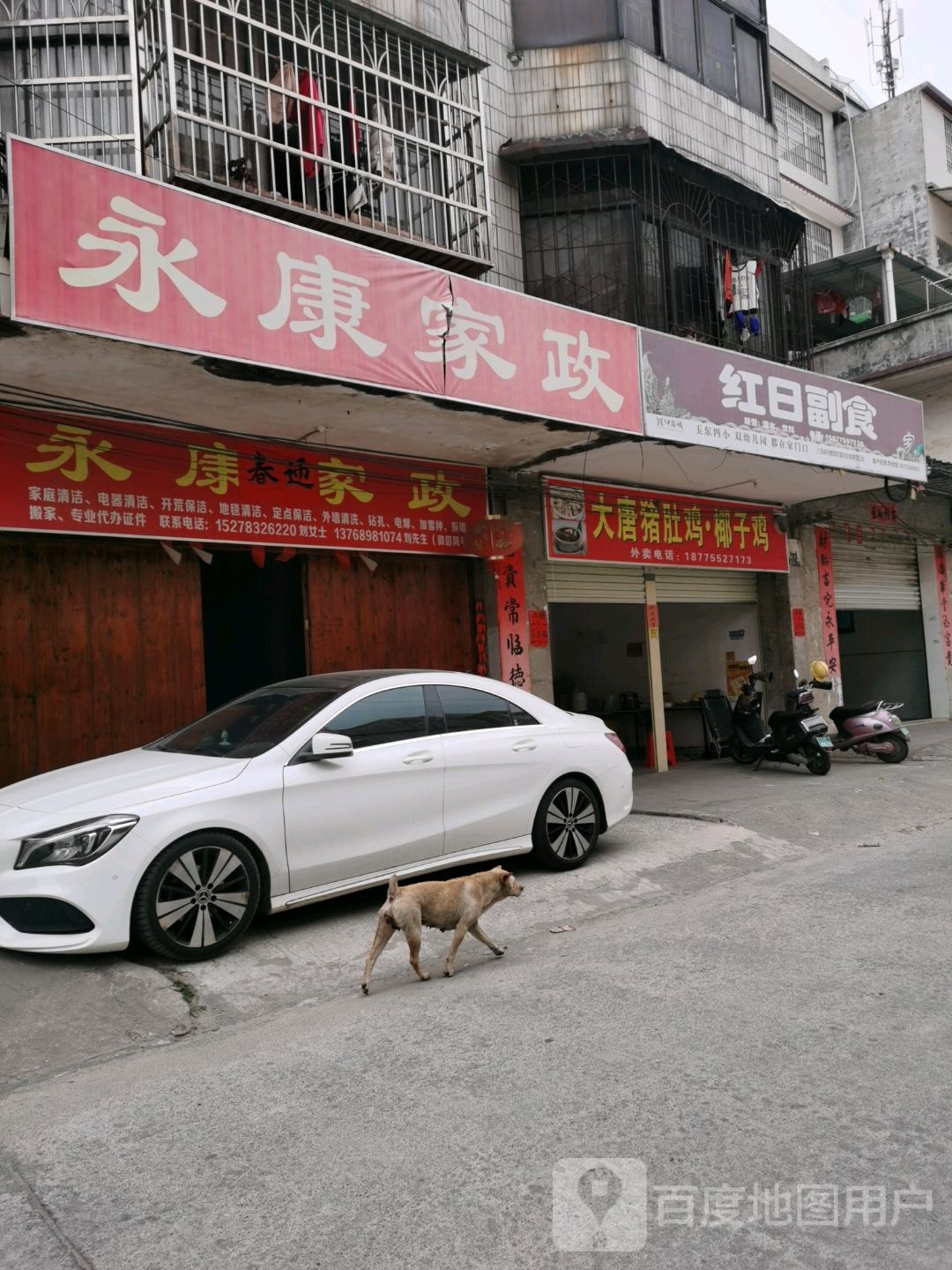 大唐猪肚鸡椰子鸡