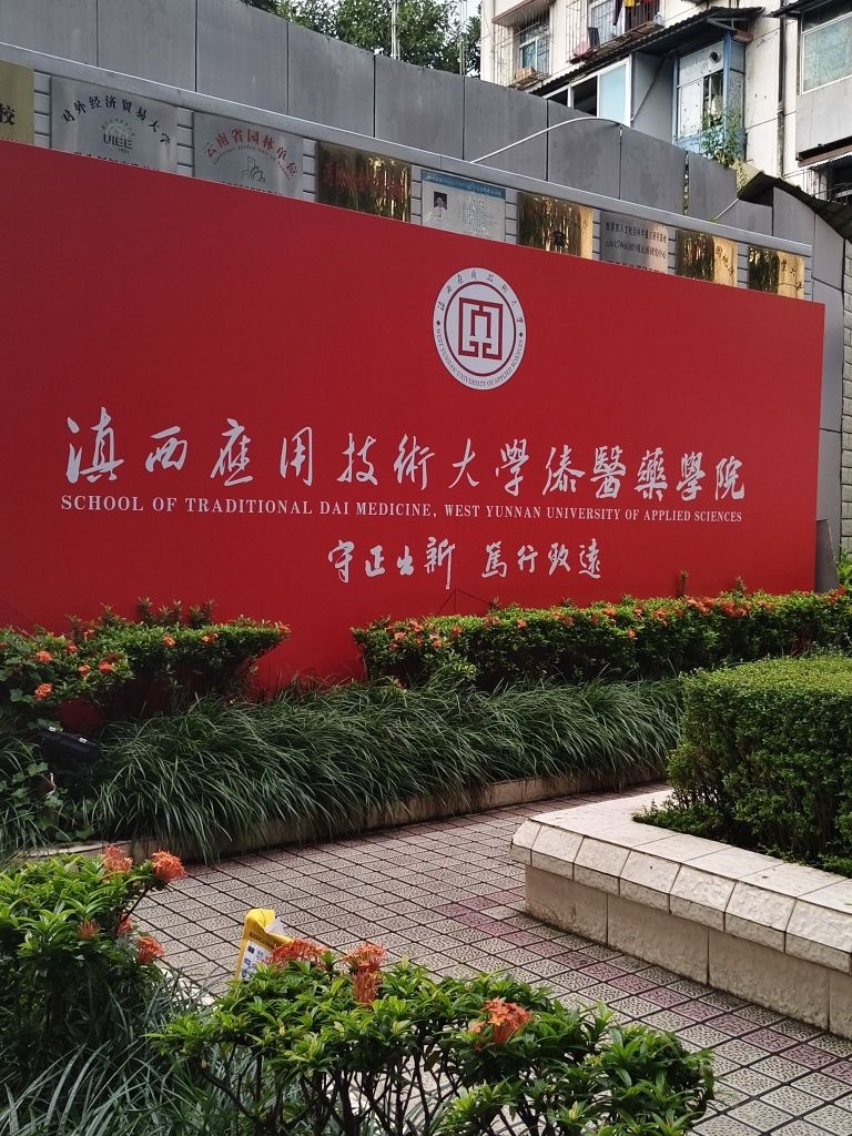 滇西应用技术大学傣医药学院