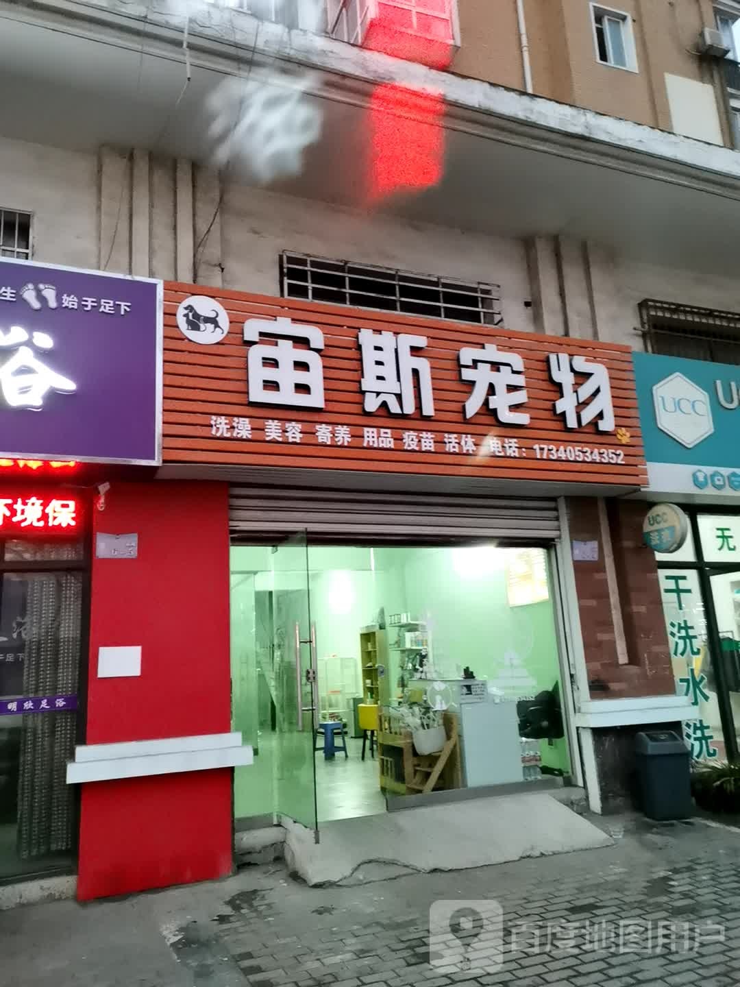 宙斯宠物