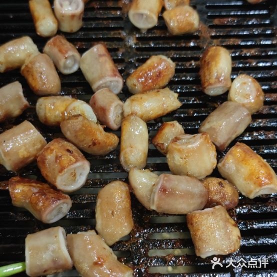 九溪烤小柴(时鼎绿洲店)