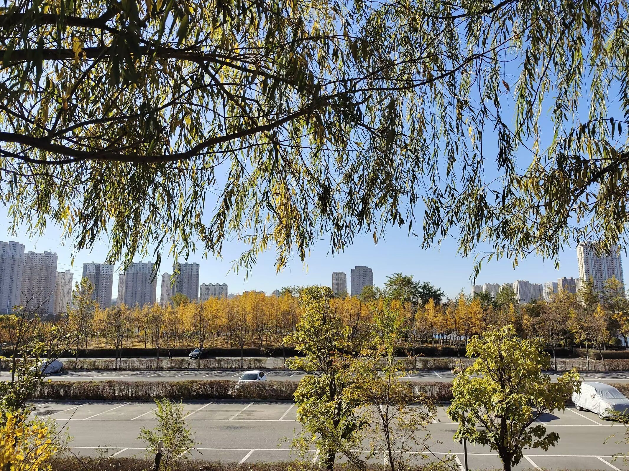 锦州东湖森林公园