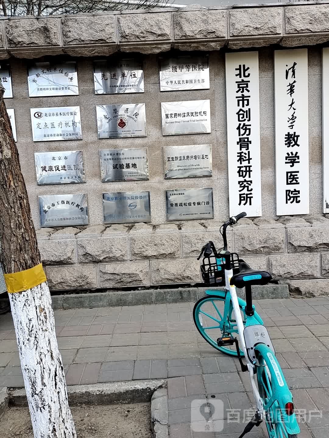 北京市创伤骨科研究所