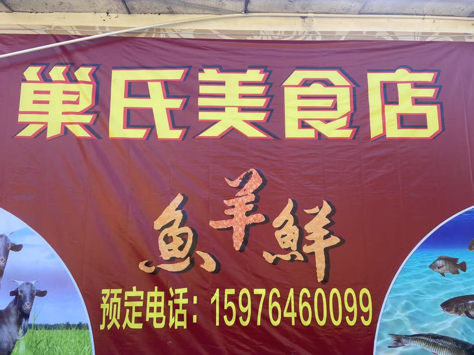 巢氏美食