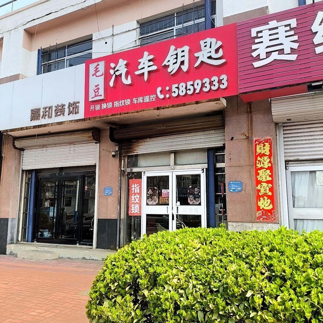毛豆汽车钥匙开锁指纹锁