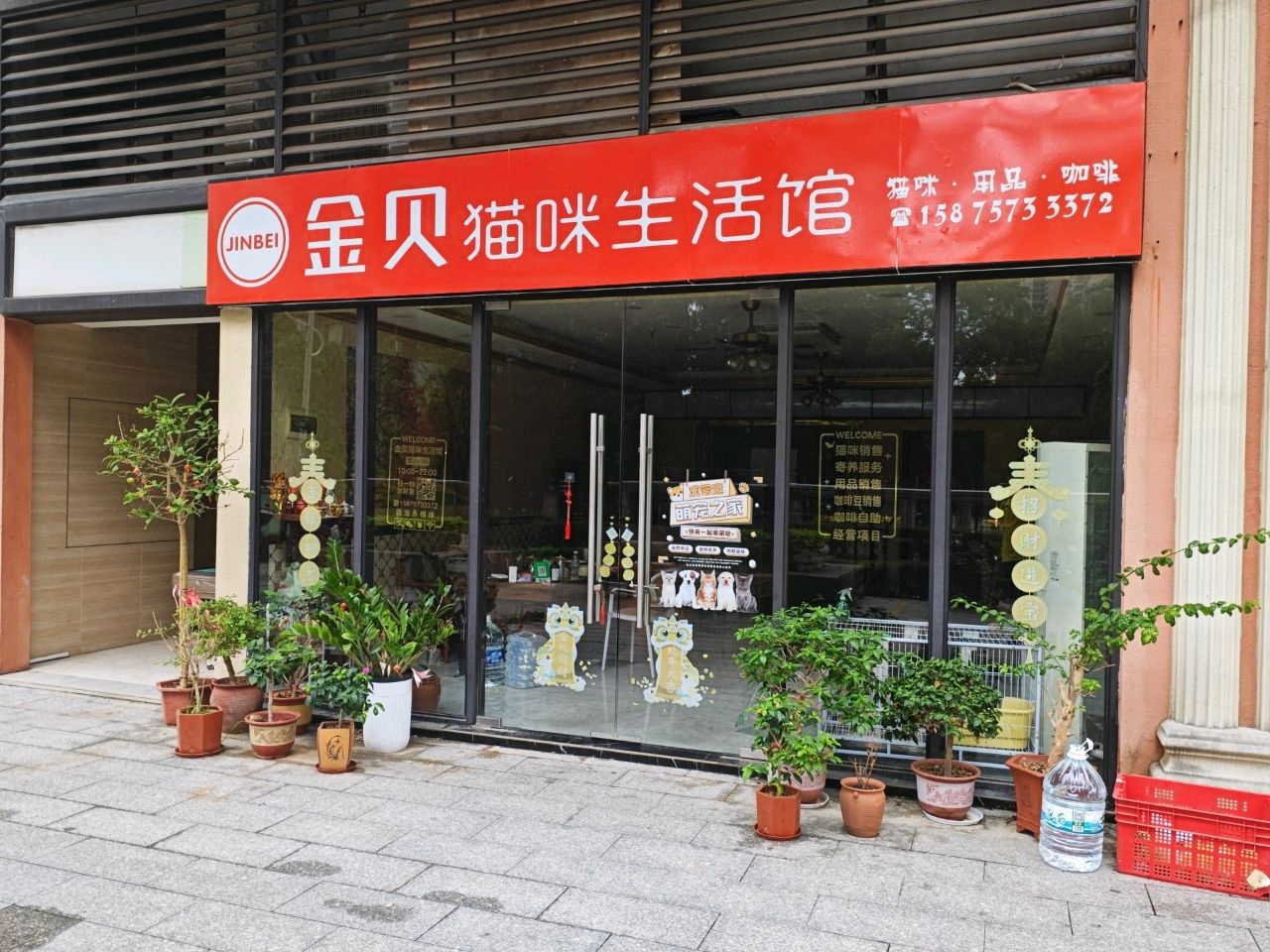 金贝猫咪生活馆