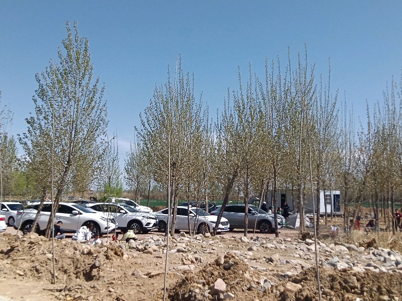 黄壁庄水库半岛生态园