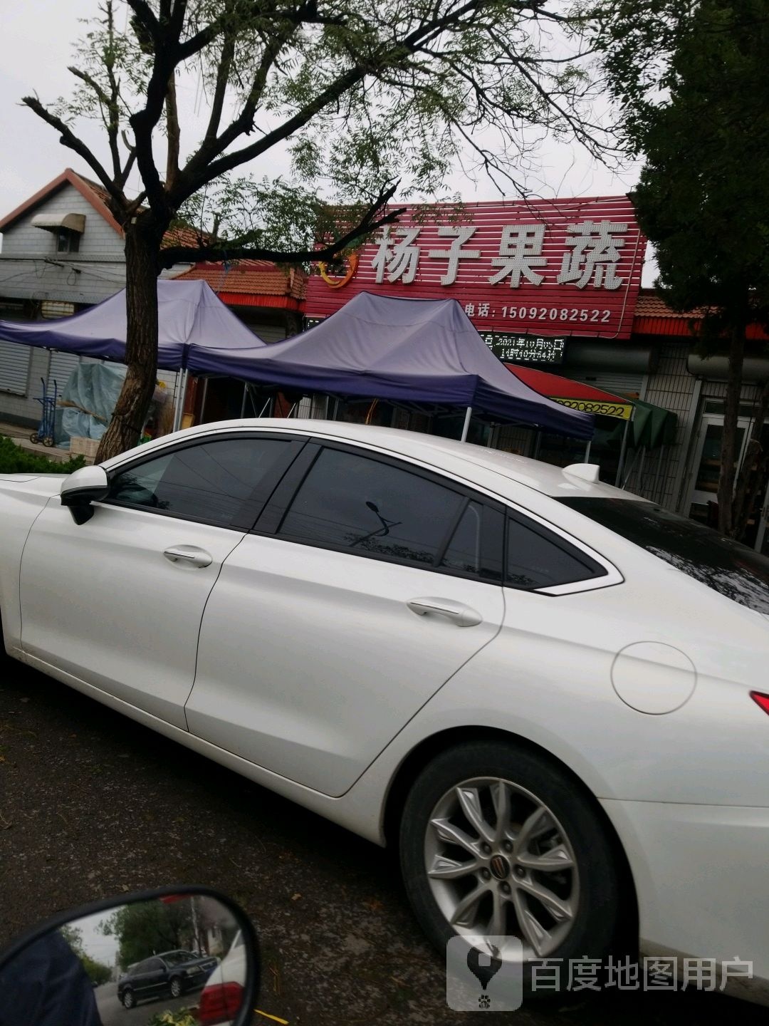 杨子果蔬