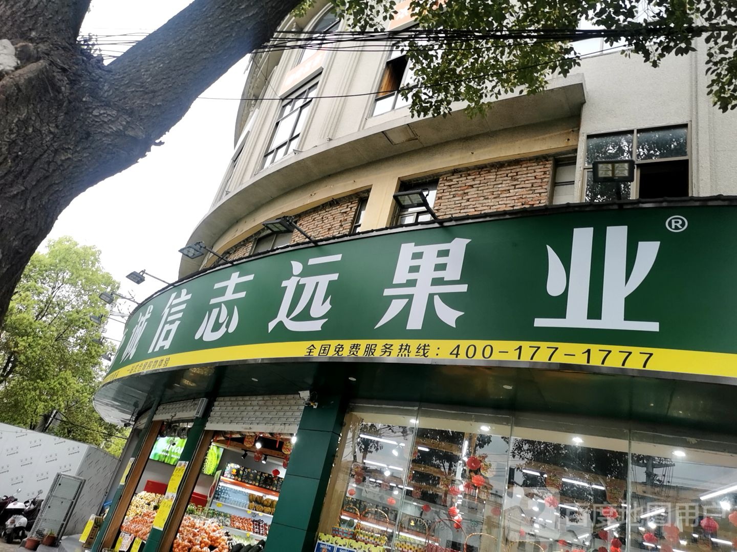 息县诚信志远果业(步行街东口店)