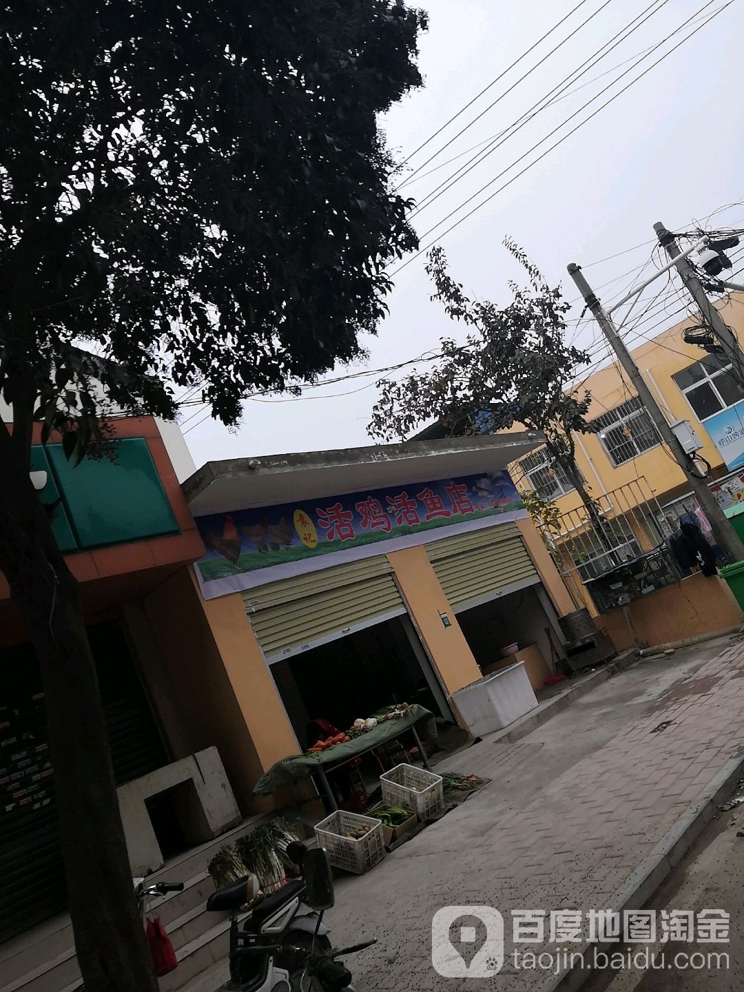 活鸡活鱼(嵩山路店)