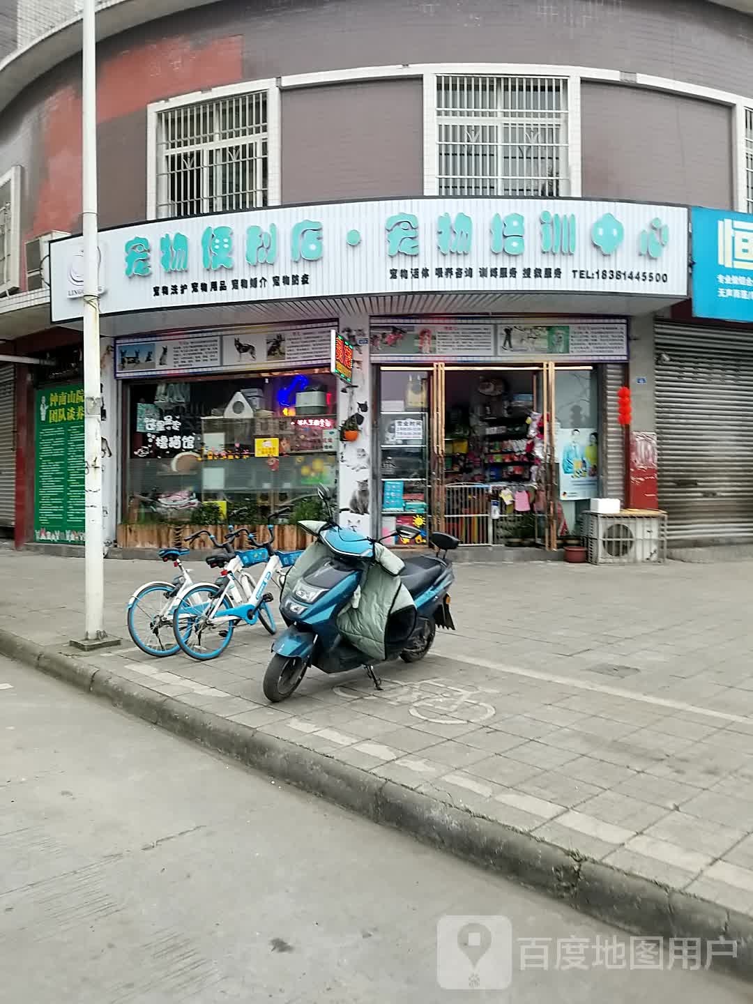 灵宠宠物便利店·宠物培训中心