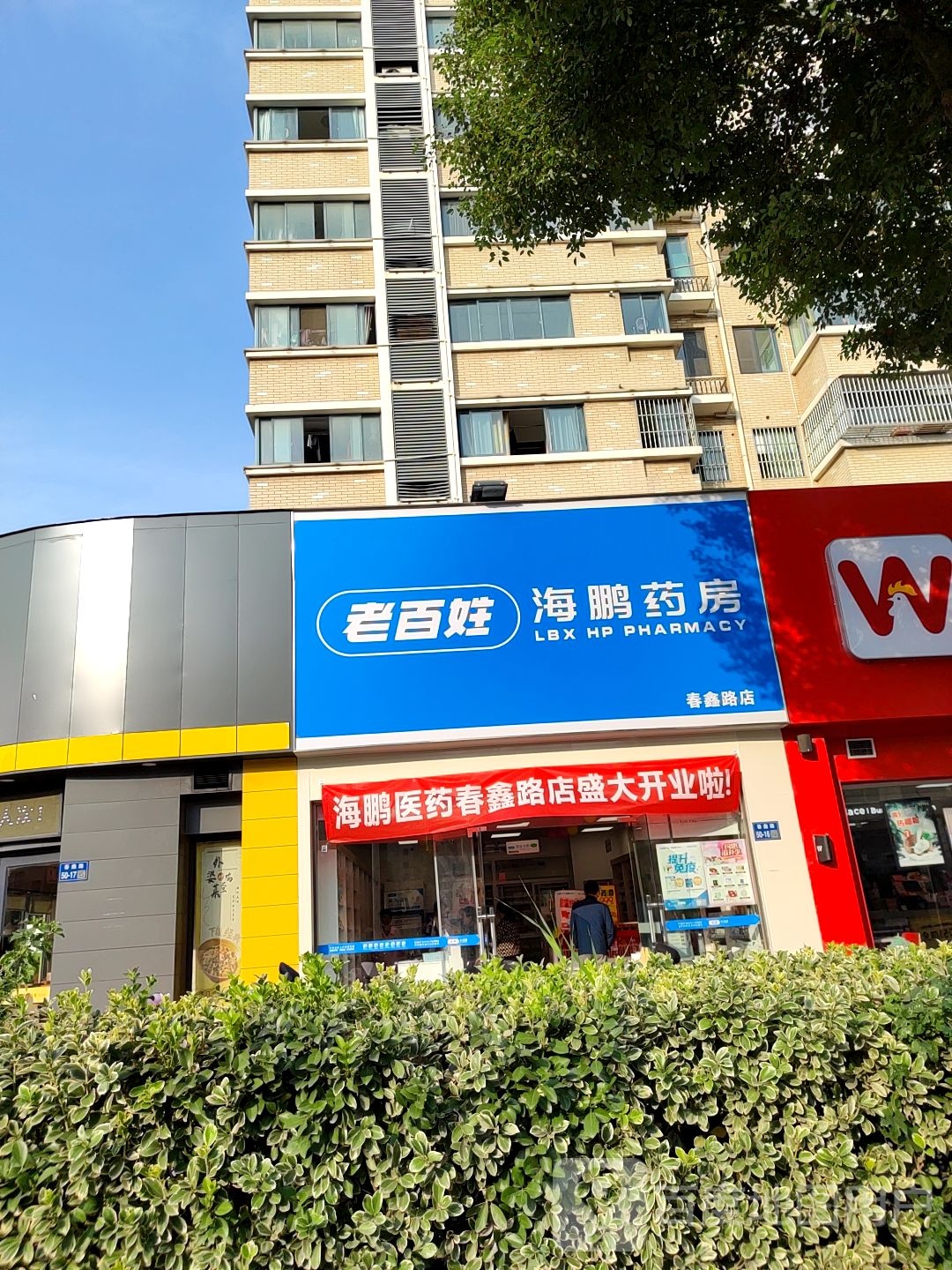 老八星海鹏药房(春鑫路店)