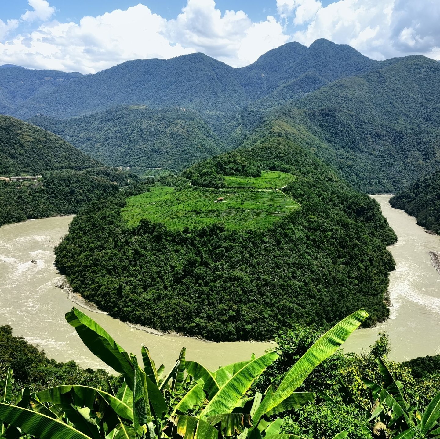 果果塘大拐弯