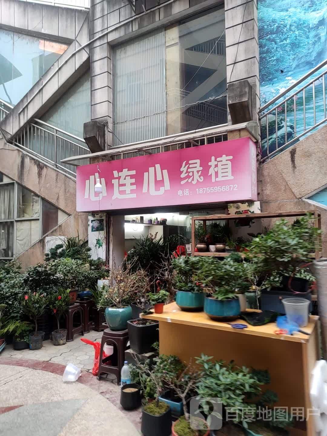 心连心花坊