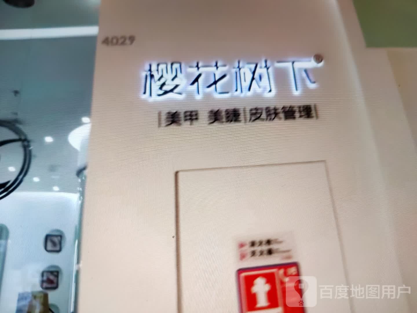 樱花树下