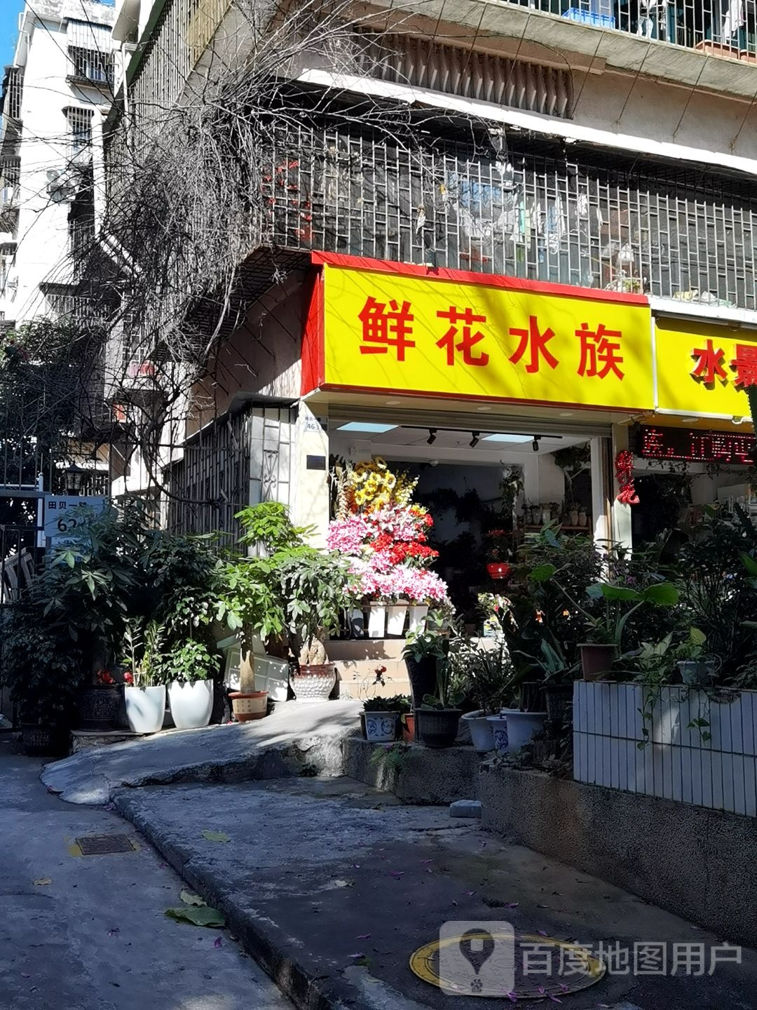 鲜花水族(田贝一路店)