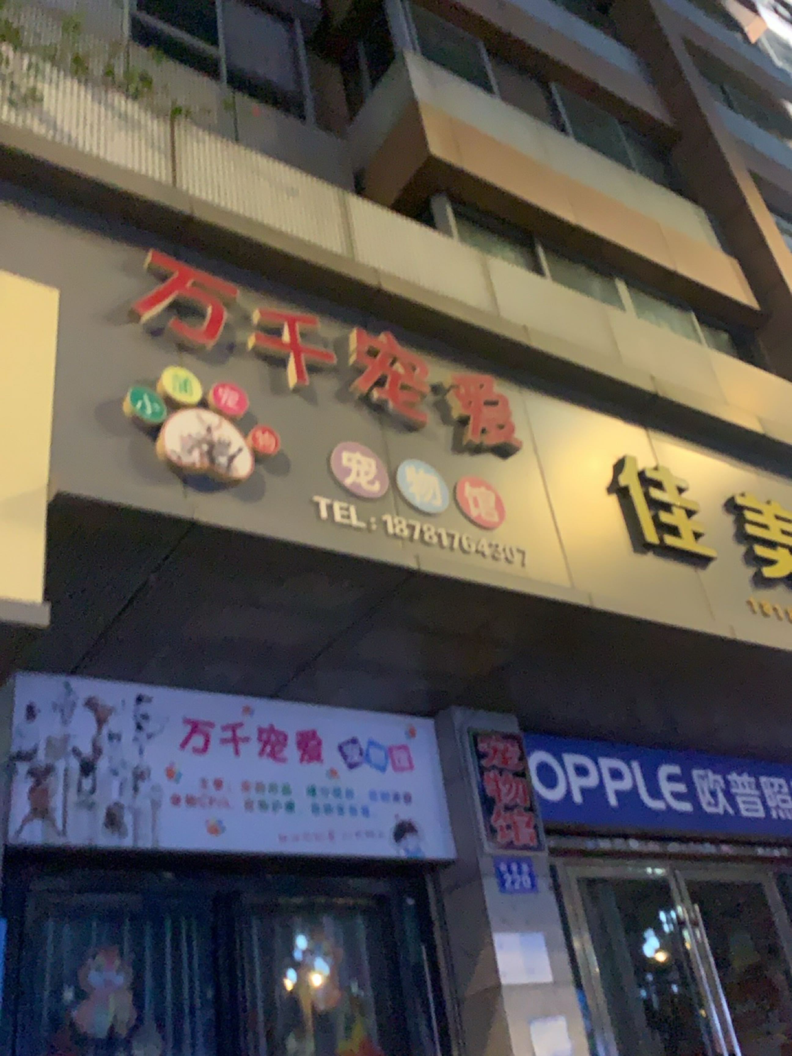 万千宠爱宠物馆