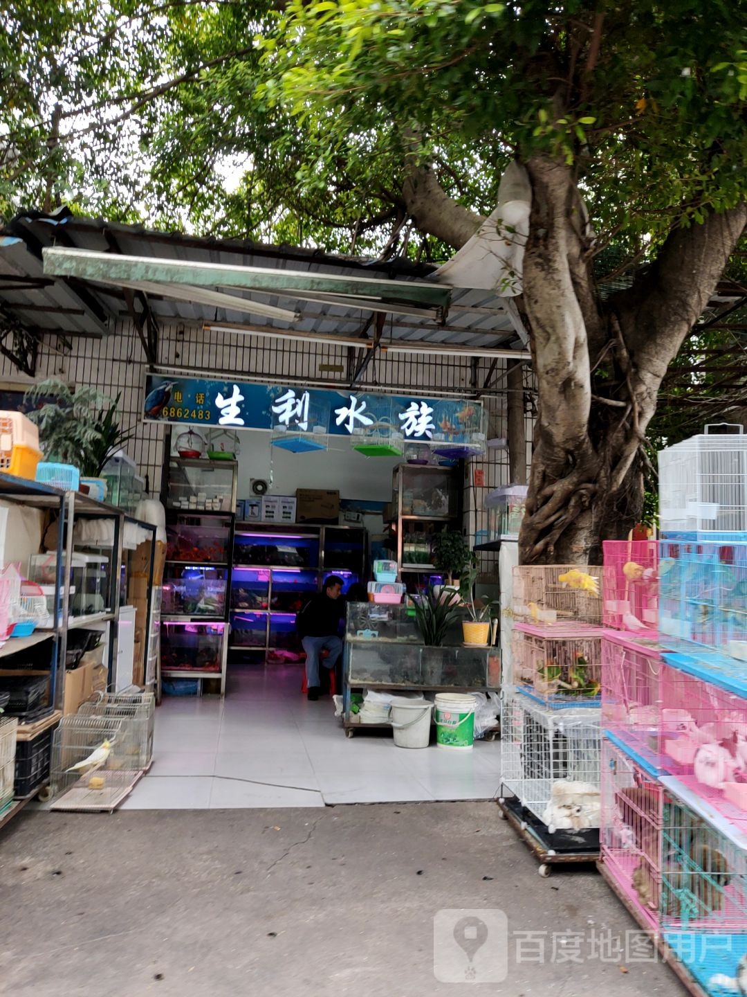 生利水族