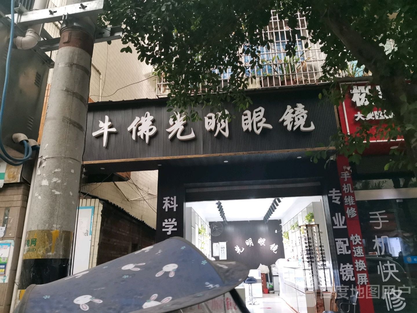 牛佛光明眼睛