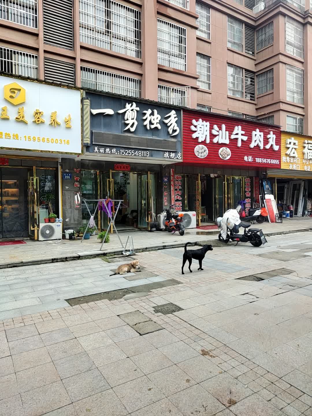 潮汕牛肉丸(玖隆皇家花园一期店)