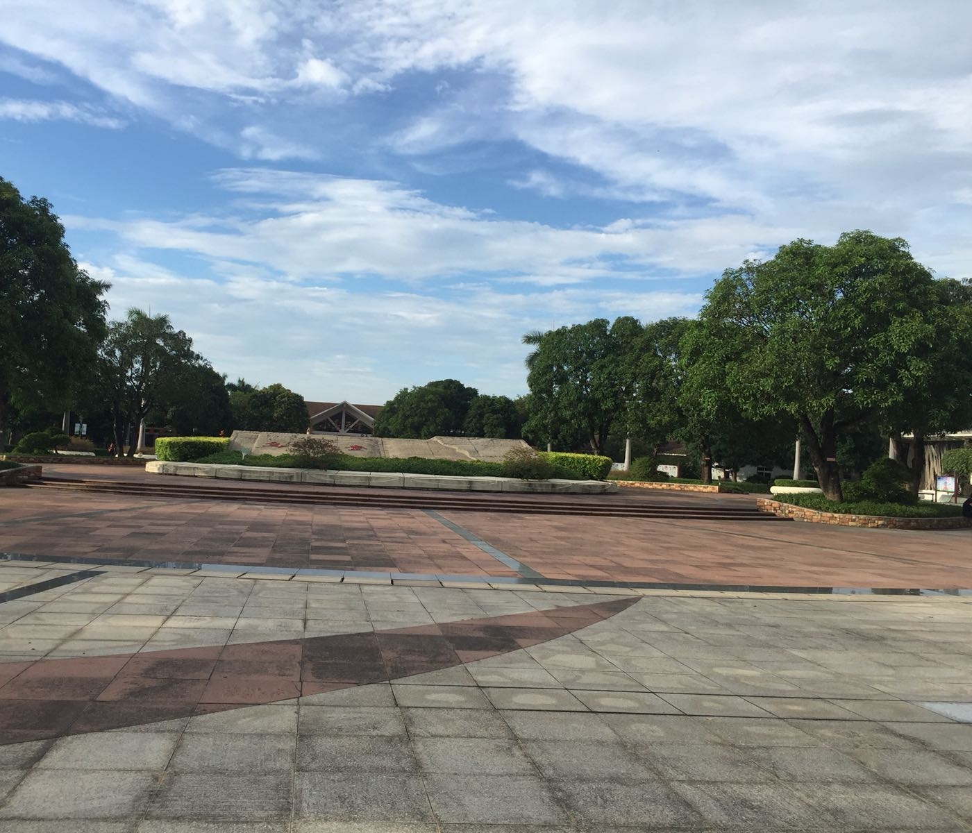 新会小鸟天堂国家湿地公园