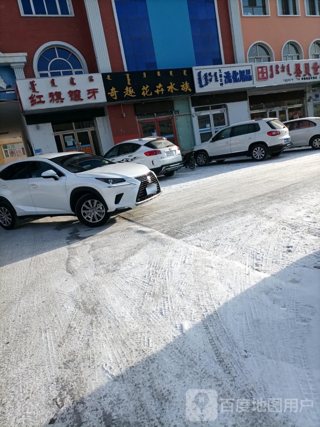 奇趣花卉水族