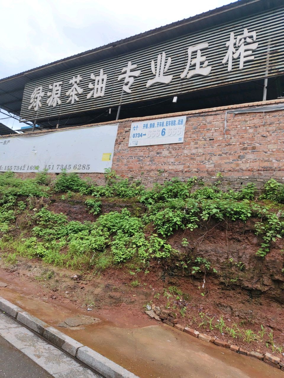 绿源茶油专业压榨