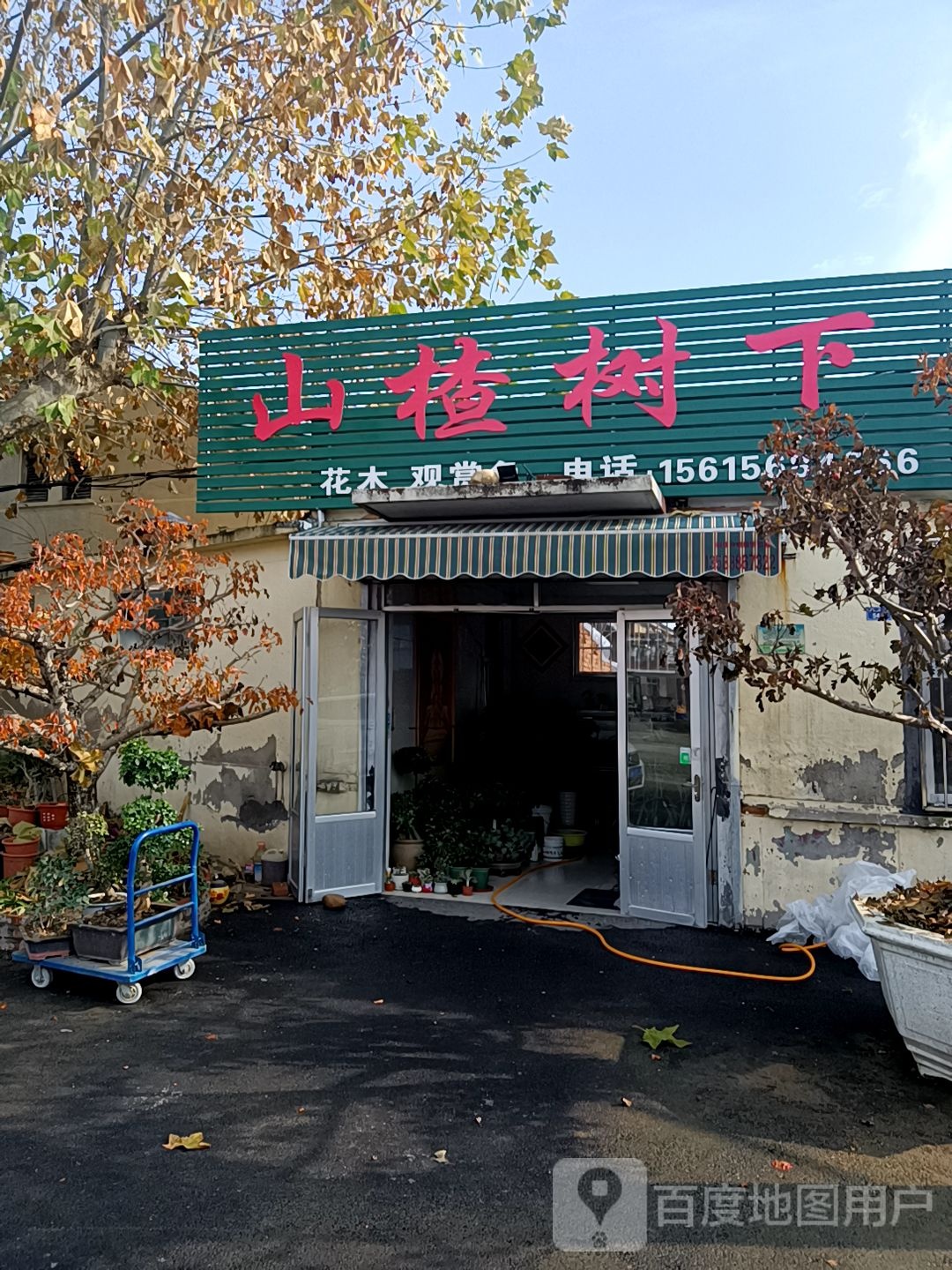 山楂树下花木