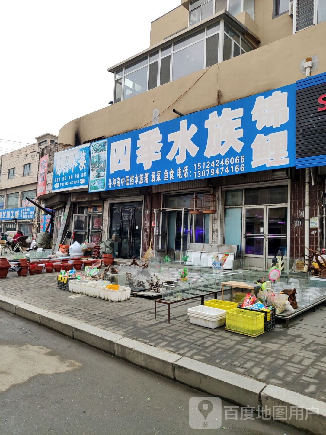 世纪水族