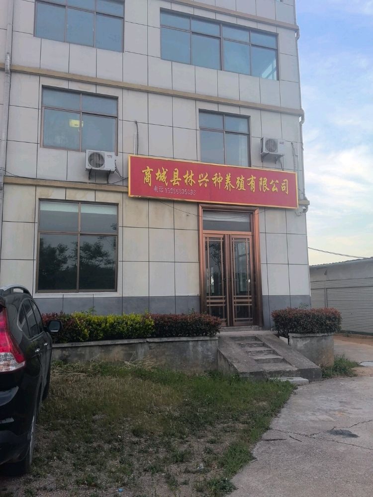 林兴茶叶种植加工合作社