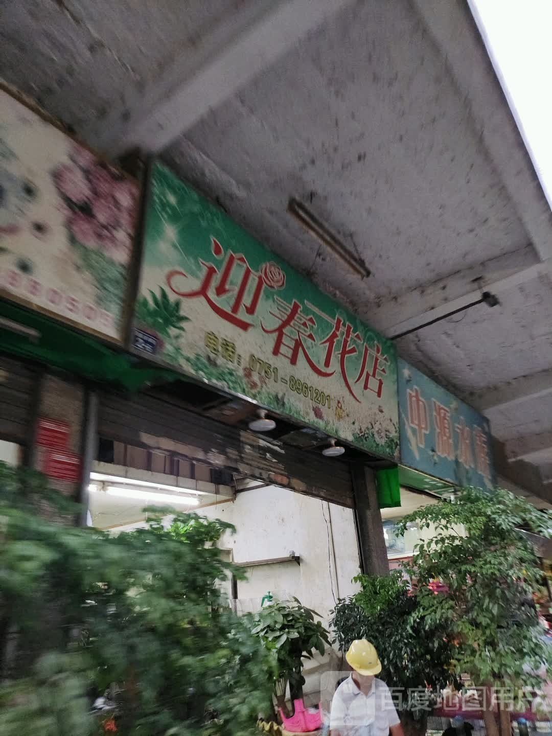 迎春花点(园前西路店)