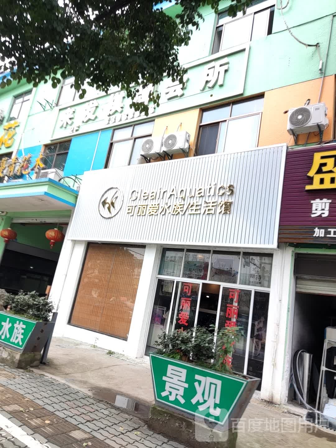 可丽爱水族馆/生活馆