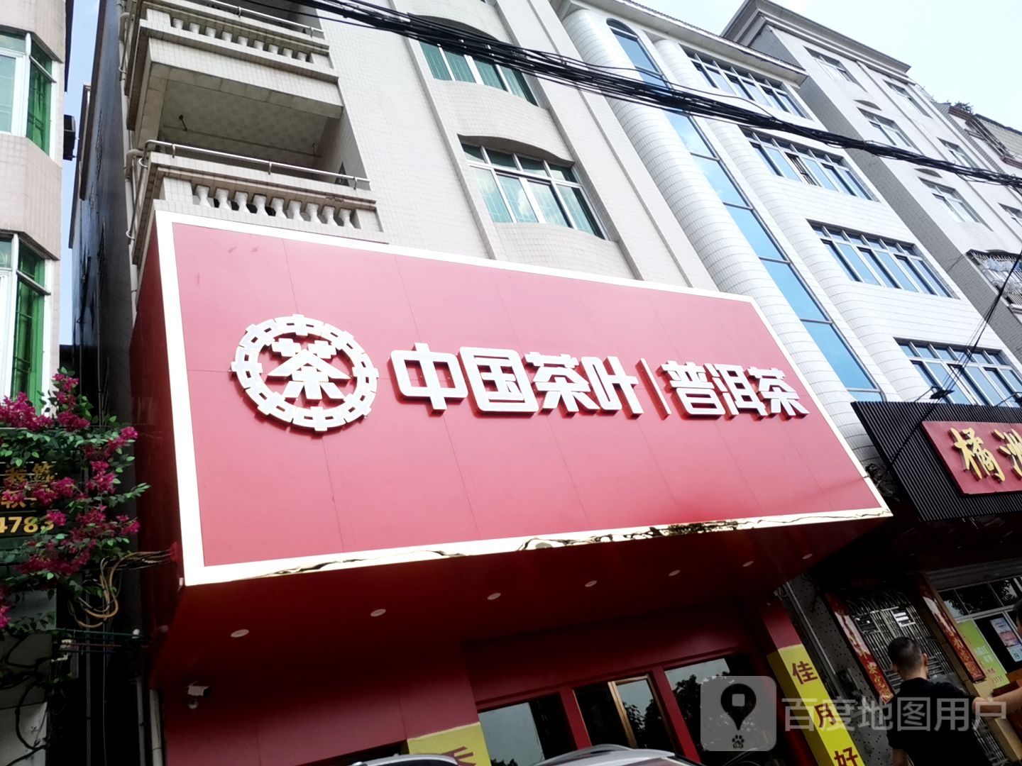 中国茶叶普洱茶(化州店)
