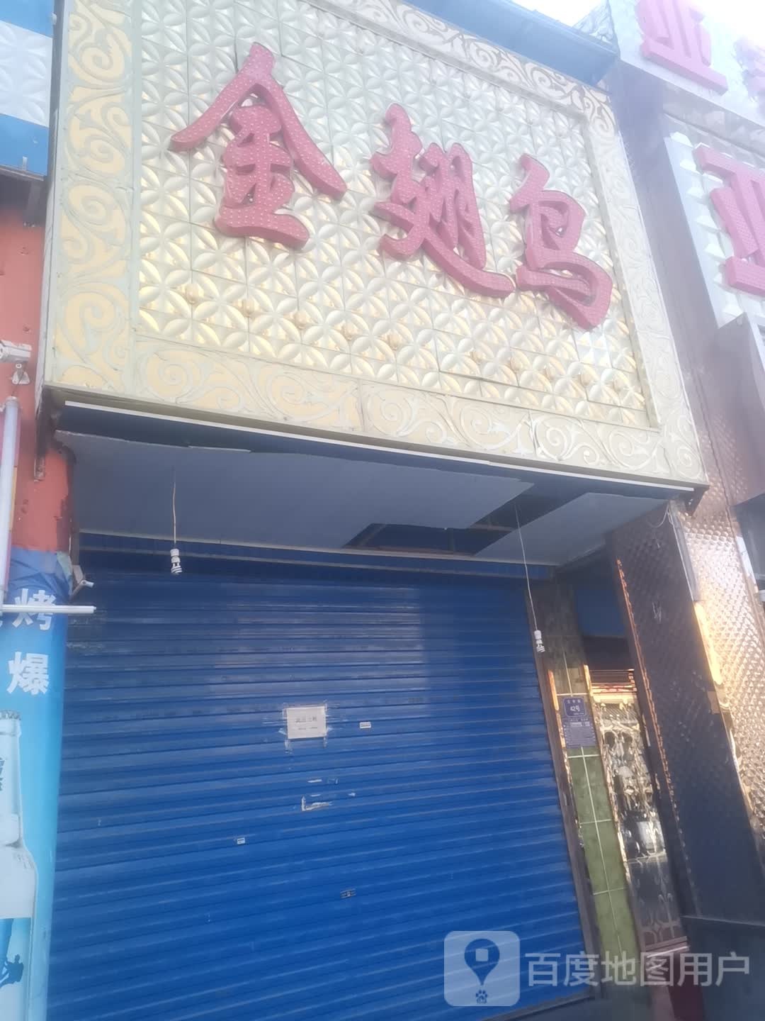 金翅膀鸟