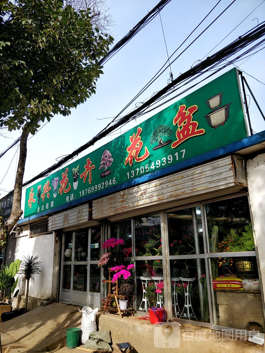 永兴花卉花盆